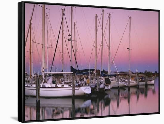 Sailboats at Dusk, Chesapeake Bay, Virginia, USA-Charles Gurche-Framed Stretched Canvas