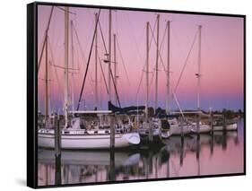 Sailboats at Dusk, Chesapeake Bay, Virginia, USA-Charles Gurche-Framed Stretched Canvas