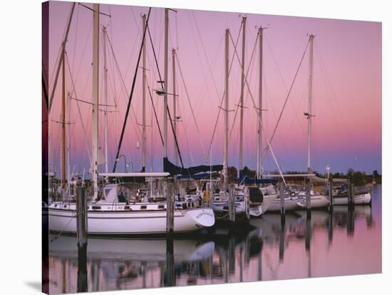 Sailboats at Dusk, Chesapeake Bay, Virginia, USA-Charles Gurche-Stretched Canvas