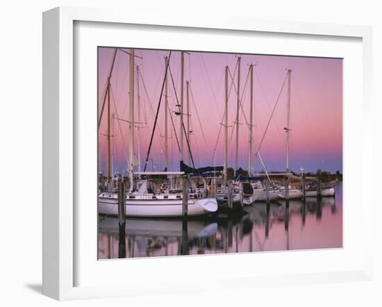 Sailboats at Dusk, Chesapeake Bay, Virginia, USA-Charles Gurche-Framed Premium Photographic Print