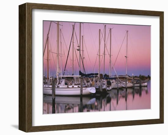 Sailboats at Dusk, Chesapeake Bay, Virginia, USA-Charles Gurche-Framed Photographic Print