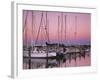 Sailboats at Dusk, Chesapeake Bay, Virginia, USA-Charles Gurche-Framed Photographic Print