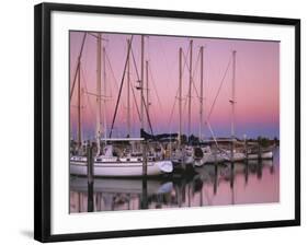 Sailboats at Dusk, Chesapeake Bay, Virginia, USA-Charles Gurche-Framed Photographic Print