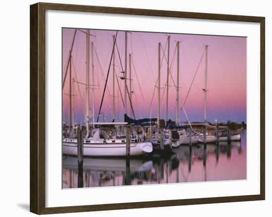 Sailboats at Dusk, Chesapeake Bay, Virginia, USA-Charles Gurche-Framed Photographic Print