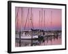 Sailboats at Dusk, Chesapeake Bay, Virginia, USA-Charles Gurche-Framed Photographic Print