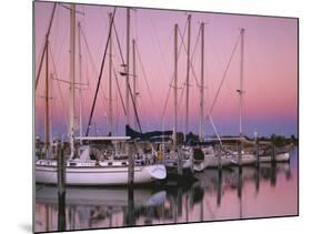 Sailboats at Dusk, Chesapeake Bay, Virginia, USA-Charles Gurche-Mounted Photographic Print