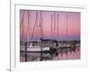 Sailboats at Dusk, Chesapeake Bay, Virginia, USA-Charles Gurche-Framed Photographic Print