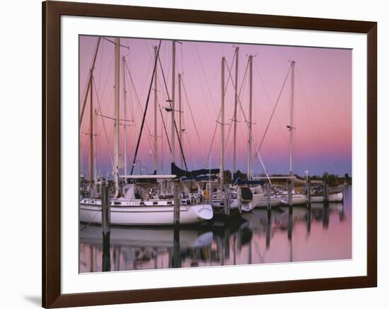 Sailboats at Dusk, Chesapeake Bay, Virginia, USA-Charles Gurche-Framed Photographic Print