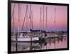 Sailboats at Dusk, Chesapeake Bay, Virginia, USA-Charles Gurche-Framed Photographic Print