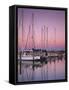 Sailboats at Dusk, Chesapeake Bay, Virginia, USA-Charles Gurche-Framed Stretched Canvas