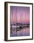 Sailboats at Dusk, Chesapeake Bay, Virginia, USA-Charles Gurche-Framed Photographic Print