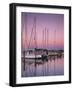 Sailboats at Dusk, Chesapeake Bay, Virginia, USA-Charles Gurche-Framed Photographic Print