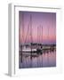 Sailboats at Dusk, Chesapeake Bay, Virginia, USA-Charles Gurche-Framed Photographic Print