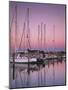 Sailboats at Dusk, Chesapeake Bay, Virginia, USA-Charles Gurche-Mounted Photographic Print
