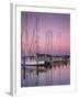 Sailboats at Dusk, Chesapeake Bay, Virginia, USA-Charles Gurche-Framed Photographic Print