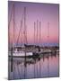 Sailboats at Dusk, Chesapeake Bay, Virginia, USA-Charles Gurche-Mounted Photographic Print