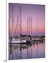 Sailboats at Dusk, Chesapeake Bay, Virginia, USA-Charles Gurche-Framed Photographic Print