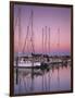 Sailboats at Dusk, Chesapeake Bay, Virginia, USA-Charles Gurche-Framed Photographic Print