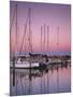 Sailboats at Dusk, Chesapeake Bay, Virginia, USA-Charles Gurche-Mounted Photographic Print