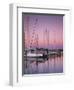 Sailboats at Dusk, Chesapeake Bay, Virginia, USA-Charles Gurche-Framed Photographic Print