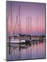 Sailboats at Dusk, Chesapeake Bay, Virginia, USA-Charles Gurche-Mounted Photographic Print