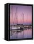 Sailboats at Dusk, Chesapeake Bay, Virginia, USA-Charles Gurche-Framed Stretched Canvas