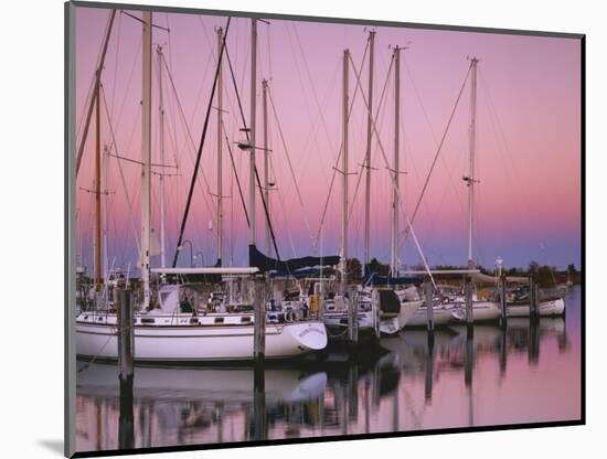 Sailboats at Dusk, Chesapeake Bay, Virginia, USA-Charles Gurche-Mounted Photographic Print