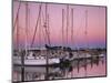 Sailboats at Dusk, Chesapeake Bay, Virginia, USA-Charles Gurche-Mounted Photographic Print