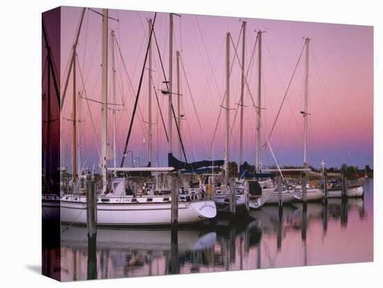 Sailboats at Dusk, Chesapeake Bay, Virginia, USA-Charles Gurche-Stretched Canvas