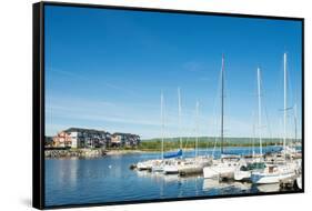 Sailboats at harbor, Collingwood Harbor, Ontario, Canada-null-Framed Stretched Canvas