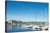 Sailboats at harbor, Collingwood Harbor, Ontario, Canada-null-Stretched Canvas