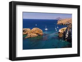 Sailboats at Scorpion Cove, Santa Cruz Island, Channel Islands National Park, California-Russ Bishop-Framed Photographic Print