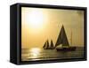 Sailboats at Sunset, Key West, Florida, United States of America, North America-Robert Harding-Framed Stretched Canvas