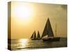 Sailboats at Sunset, Key West, Florida, United States of America, North America-Robert Harding-Stretched Canvas
