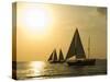 Sailboats at Sunset, Key West, Florida, United States of America, North America-Robert Harding-Stretched Canvas