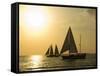 Sailboats at Sunset, Key West, Florida, United States of America, North America-Robert Harding-Framed Stretched Canvas