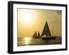 Sailboats at Sunset, Key West, Florida, United States of America, North America-Robert Harding-Framed Premium Photographic Print
