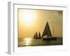 Sailboats at Sunset, Key West, Florida, United States of America, North America-Robert Harding-Framed Premium Photographic Print