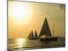 Sailboats at Sunset, Key West, Florida, United States of America, North America-Robert Harding-Mounted Premium Photographic Print