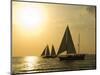 Sailboats at Sunset, Key West, Florida, United States of America, North America-Robert Harding-Mounted Photographic Print