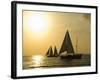 Sailboats at Sunset, Key West, Florida, United States of America, North America-Robert Harding-Framed Photographic Print