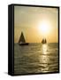 Sailboats at Sunset, Key West, Florida, United States of America, North America-Robert Harding-Framed Stretched Canvas