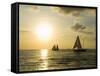 Sailboats at Sunset, Key West, Florida, USA-R H Productions-Framed Stretched Canvas