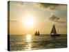 Sailboats at Sunset, Key West, Florida, USA-R H Productions-Stretched Canvas