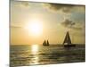 Sailboats at Sunset, Key West, Florida, USA-R H Productions-Mounted Photographic Print