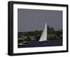 Sailboats by Coast, Ticonderoga Race-Michael Brown-Framed Photographic Print