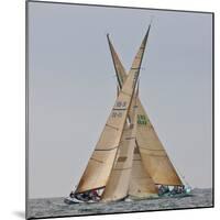 Sailboats Competing in the 12-Metre Class Championship, Newport, Rhode Island, USA-null-Mounted Photographic Print