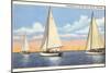 Sailboats, Door County, Wisconsin-null-Mounted Art Print