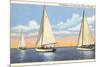 Sailboats, Door County, Wisconsin-null-Mounted Premium Giclee Print