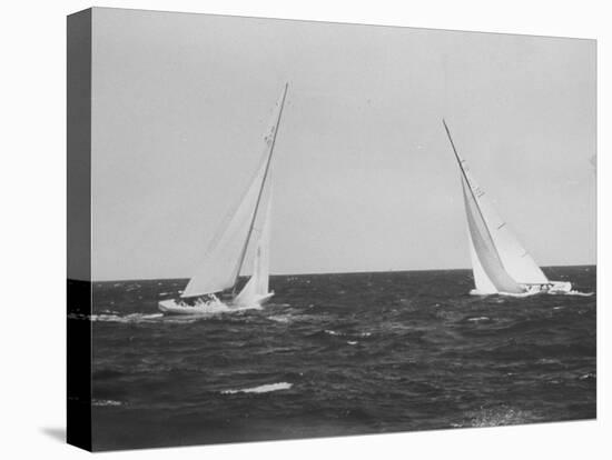 Sailboats During the America's Cup Trials-null-Stretched Canvas